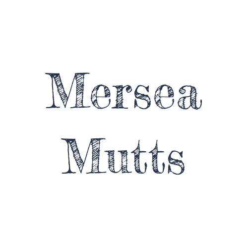 Dog Trainer Colchester Essex Mersea Mutts Mersea Mutts Ltd