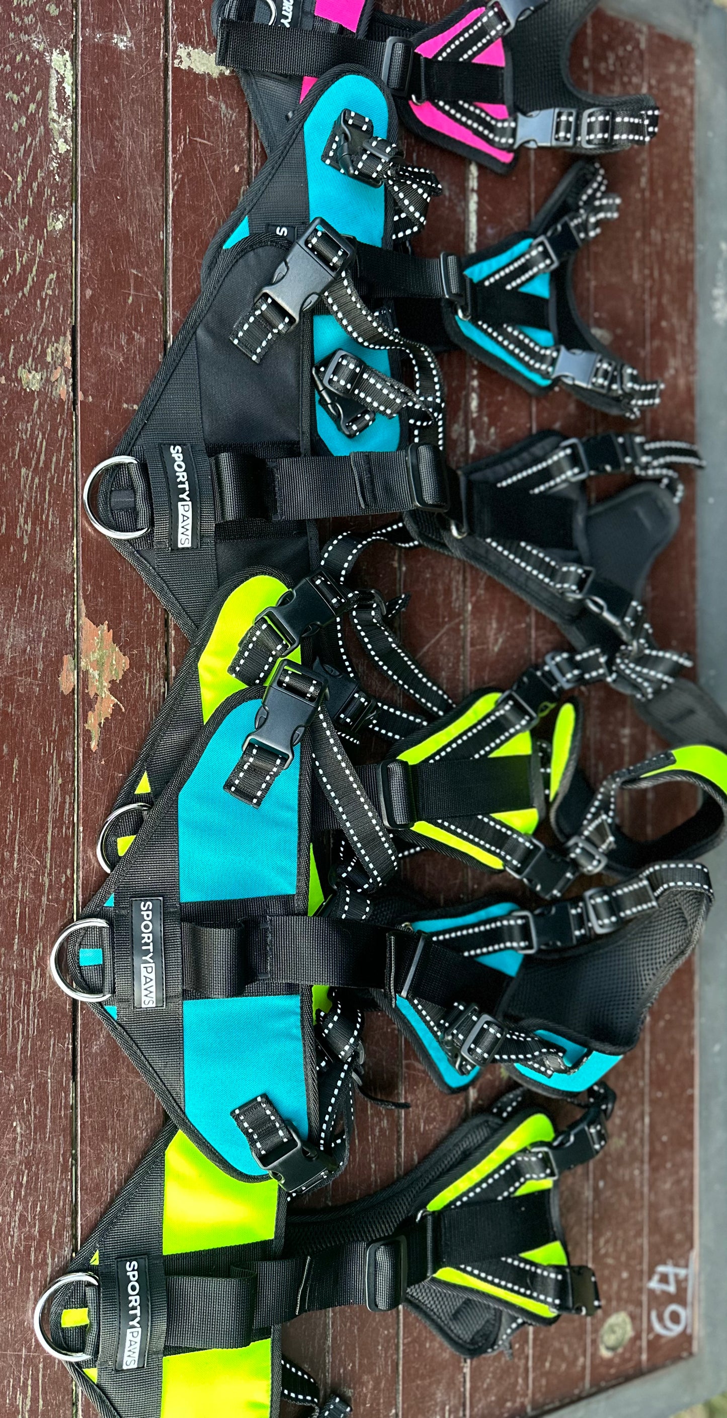 Sporty Paws Mantrailing Harness