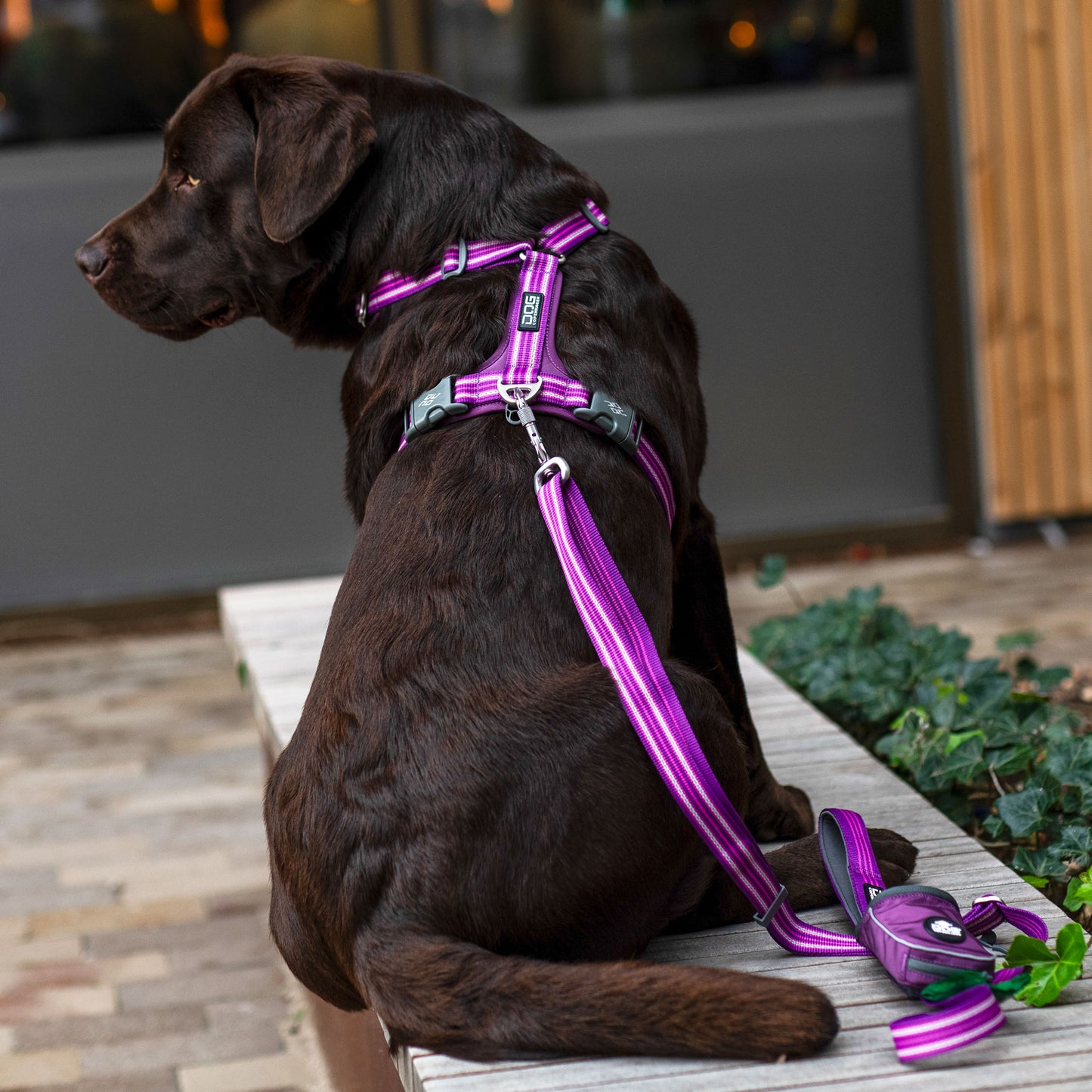 Comfort Walk Air Harness by DOG Copenhagen