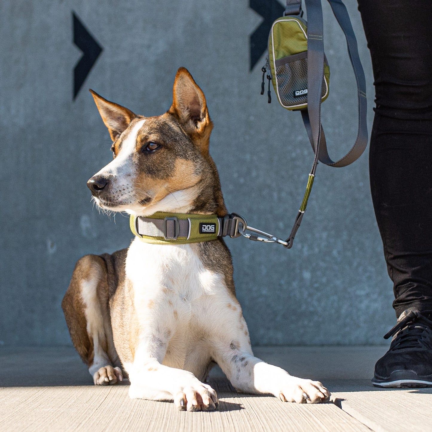 Urban Explorer™ Collar