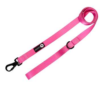 Woofles Dog Lead with Carabiner Clip